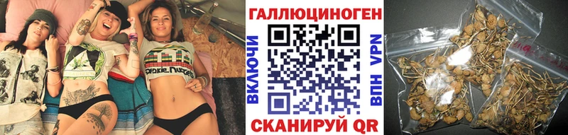 Псилоцибиновые грибы прущие грибы  Новоалександровск 